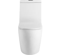 Унитаз-моноблок безободковый HOLLER MONO (685х370х825 мм, сиденье дюропласт с микролифтом, арматура 2-х режимная) (1 место) белый 316020