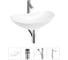 Набор Wellsee 4 в 1 Carefree Dove накладная раковина 44x29 см 20212257R 1