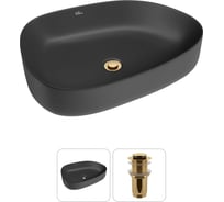 Набор Wellsee 2 в 1 Belle Spa 3.0 накладная раковина 55x40 см 20212735R