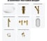 Набор Wellsee 7 в 1 Belle Spa 3.0 накладная раковина 55x41 см 20218495R 13