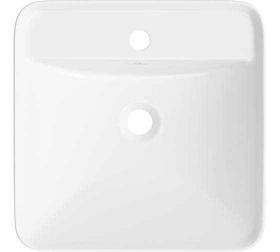 Набор Wellsee 2 в 1 Cute Twin S накладная раковина 43x43 см 20213356R