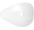 Набор Wellsee 2 в 1 Nexus Flex накладная раковина 60x42 см 20214033R 3