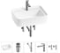 Комплект Wellsee 5 в 1 Lavinia Boho Bathroom Sink накладная/подвесная раковина 50x40 см 20215328R 1