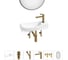 Комплект Wellsee 6 в 1 Lavinia Boho Bathroom Sink накладная/подвесная раковина 50x24 см 20219669R 1
