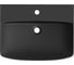 Комплект Wellsee 2 в 1 Lavinia Boho Bathroom Sink накладная/подвесная раковина 55x42 см 20216795R 3