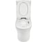 Унитаз-компакт безободковый Торнадо ORANGE, с микролифтом C07-050W 13