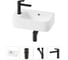 Комплект 4 в 1 Wellsee Bathroom Sink накладная/подвесная раковина 45x27 см состоит 20216478R 1