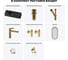 Комплект 7 в 1 Wellsee Bathroom Sink накладная/подвесная раковина 50x24 см состоит 20219666R 14