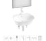 Набор Wellsee 7 в 1 Excellence Pro накладная/подвесная раковина 50x46 см 20219026R 1