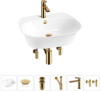Набор Wellsee 6 в 1 Excellence Pro накладная/подвесная раковина 50x46 см 20217176R