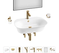 Набор Wellsee 8 в 1 Excellence Pro накладная/подвесная раковина 65x46 см 20219056R