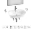 Набор Wellsee 8 в 1 Excellence Pro накладная/подвесная раковина 60x47 см 20219045R 1