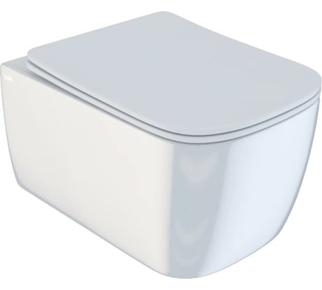 Подвесной безободковый унитаз IDDIS Bridge BRIRDSEi25