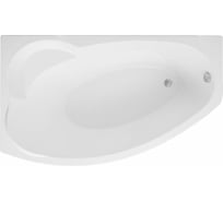 Акриловая ванна Aquanet Sofia 170x90 L 00204039