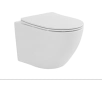 Подвесной унитаз Taliente Amato Tornado 3, белый, с крышкой микролифт (быстросъёмный механизм) AM55003