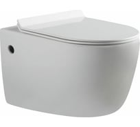 Унитаз с сидением Aquanet Cetus 00203345