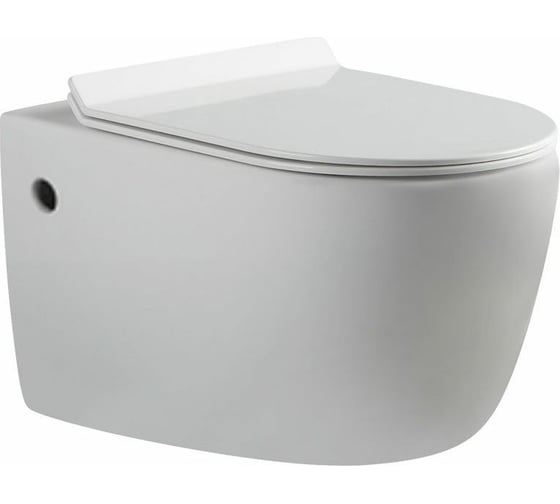 Унитаз с сидением Aquanet Cetus 00203345