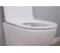 Комплект Alcora Encanto CO DP инсталляция Grant SLIM кнопка white 0460108+SLIM3554WHITE 6
