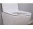 Комплект Alcora Encanto CO DP инсталляция Grant SLIM кнопка chrome 0460108+SLIM3523CHROME 9