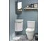 Угловой рукомойник Jacob Delafon Odeon RG 34х34 см EGP112-00 00000093229 2