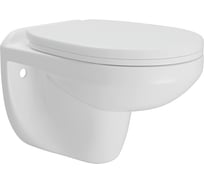 Унитаз подвесной безободковый Teymi Hanna с сиденьем микролифт T40900 ЦБ-00272521