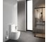 Унитаз-компакт с сиденьем микролифт AM.PM Like Aquaspin C808600SC 3