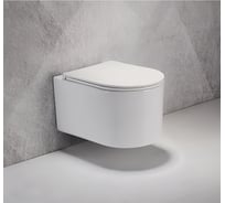 Унитаз подвесной OLIVE'S VORTEX безободковый, с системой «Торнадо» и сиденьем микролифт VR30116DP