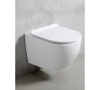 Унитаз подвесной OLIVE'S VORTEX DUO безободковый, с системой «Двойной Торнадо» и сиденьем микролифт VD30116DP