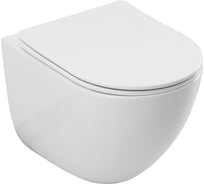 Унитаз подвесной ALLEN BRAU 4.31013.20 PRIORITY 4 Tornado с сиденьем (Soft Close) 505х360мм белый (348381) 00348381