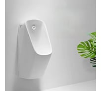 Писсуар подвесной RGW SW-91 345x310x700 белый 80450291-01