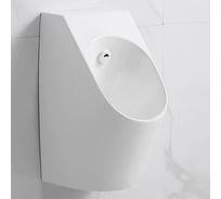 Писсуар подвесной RGW SW-90 400x306x590, белый 80450290-01