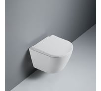 Унитаз подвесной RGW SW-51 500x360x350 белый (горизонтальный выпуск, с микролифтом) 80420251-01