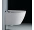 Унитаз подвесной RGW SW-50 520x373x350 белый (горизонтальный выпуск, с микролифтом) 80420250-01 1