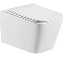 Подвесной безободковый унитаз Aquatek 520x350x330 мм 00000096343
