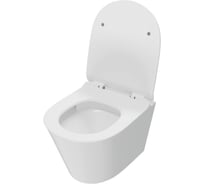 Унитаз подвесной торнадо безободковый Teymi с быстросъемным сиденьем микролифт Solli Pro Vortex T40225 ЦБ-00285242