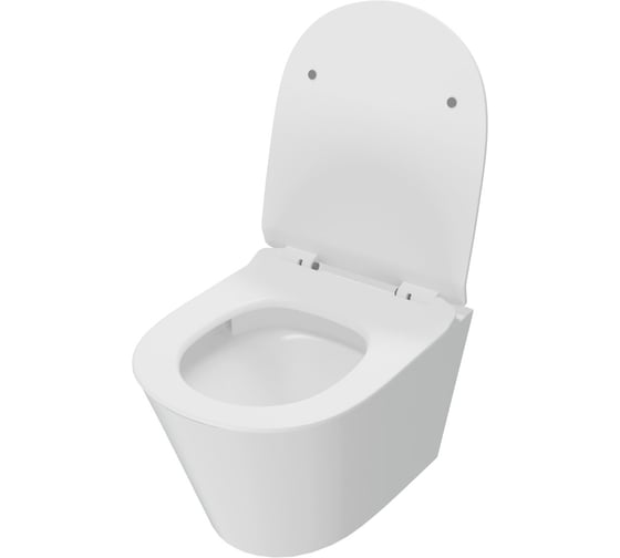 Унитаз подвесной торнадо безободковый Teymi с быстросъемным сиденьем микролифт Solli Pro Vortex T40225 ЦБ-00285242