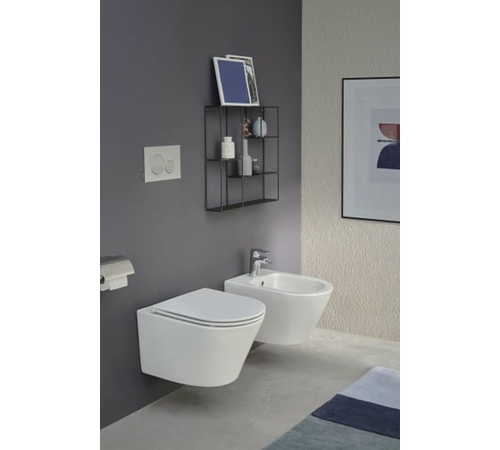 Подвесной унитаз Jacob Delafon Rodin+ 00268108 EDY102-00