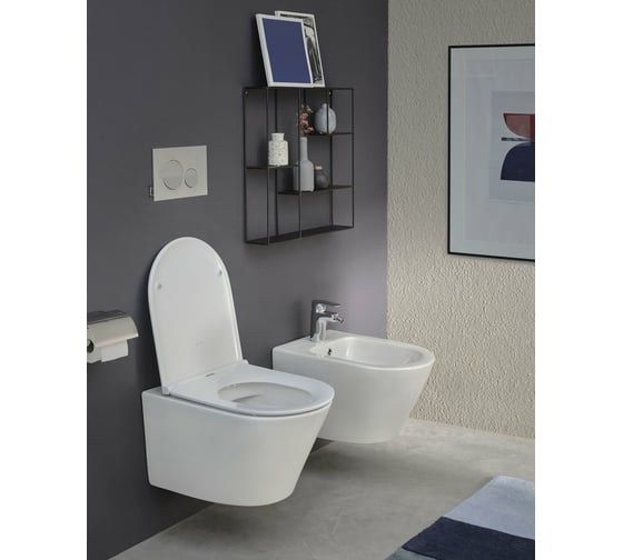 Подвесной унитаз Jacob Delafon Rodin+ 00268108 EDY102-00