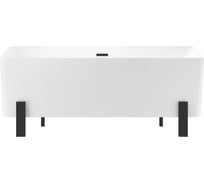 Акриловая ванна отдельностоящая Wellsee FR.Euphoria, 166 x 77,5 см, цвет глянцевый белый 230101000