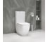 Унитаз-компакт с бачком и сиденьем микролифт GROHE Clova, альпин-белый 39909000 2