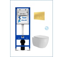 Инсталляция с унитазом комплект 5 в 1 Teymi унитаз подвесной безободковый Lori Vortex кнопка золото F16936 F16936 ЦБ-00304334