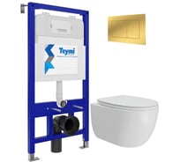 Инсталляция с унитазом Teymi комплект 5 в 1 унитаз подвесной безободковый Lori Vortex кнопка золото F16099 F16099 ЦБ-00304348