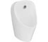 Писсуар Vitra M50 настенный санитарный фарфор 8305B003-5633 1