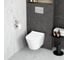 Подвесной унитаз Vitra M50 безободковый VortexFlush с сиденьем микролифт дюропласт белый санитарный фарфор 8302B003-6404 7