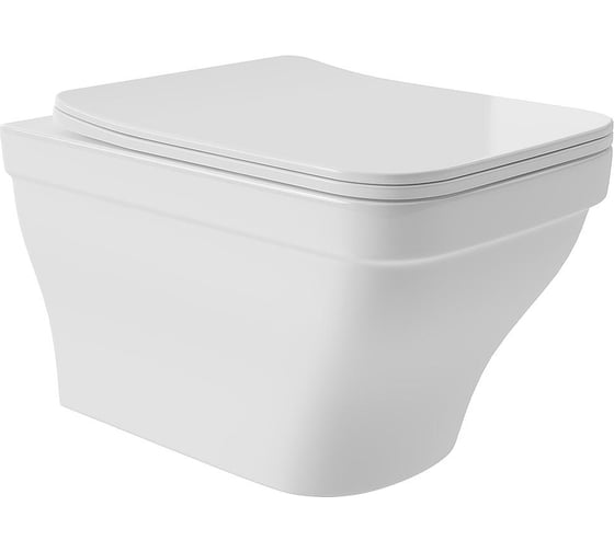 Подвесной унитаз AQUEDUTO ESTETA 520х370 безободковый, сиденье с микролифтом, белый матовый EST0120