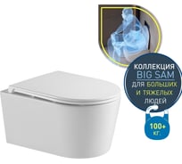 Унитаз подвесной безободковый торнадо Schille DQ 570430360мм, сиденье микролифт, белы DT1466516