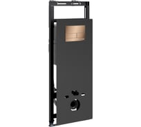 Система инсталляции для унитазов WasserKraft Зальм (Salm) 27TLT.010.ME.BL.RG04