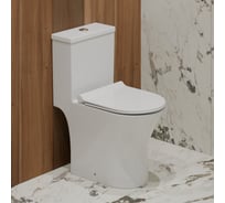 Унитаз-моноблок EvaGold TR1197 безободковый сиденье тонкое ДП арматура с гофрой и подводкой EG050034