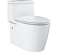 Унитаз-моноблок Grohe Projectline сиденье с микролифтом, альпин белый 39315000