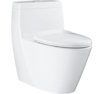 Унитаз напольный безободковый Grohe Projectline с бачком и сиденьем, c микролифтом, альпин-белый 39316000